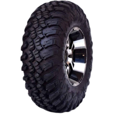 FORERUNNER AURORA AT25X10R12