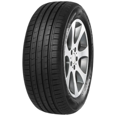 MINERVA F209 205/55R15