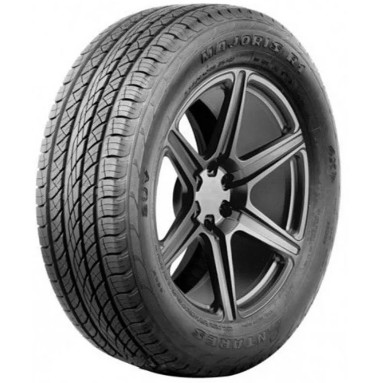 ANTARES Majoris R1 255/60R18