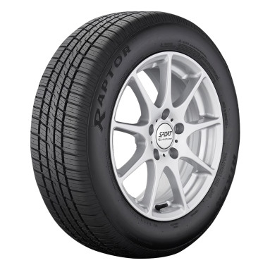 RIKEN RAPTOR HR 225/60R16