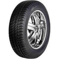 RADBURG MV3A 205/60R15
