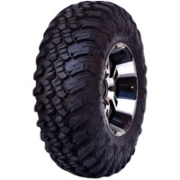FORERUNNER AURORA AT25X10R12