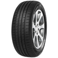 MINERVA F209 205/55R15