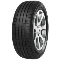 MINERVA F209 205/60R15