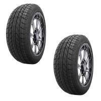 RADBURG Power 195/55R15