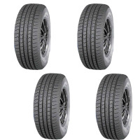 AGATE AG-266 195/55R16