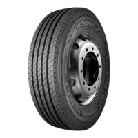 TECHSHIELD VIGOROUS TS601 295/80R22.5