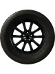 AGATE AG-06 195/70R15C