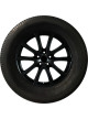 AGATE AG-06 205/75R16C