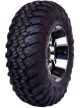 FORERUNNER AURORA AT25X10R12
