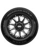 NEXEN Roadian HTX2 245/75R17