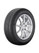 RIKEN RAPTOR HR 225/60R16